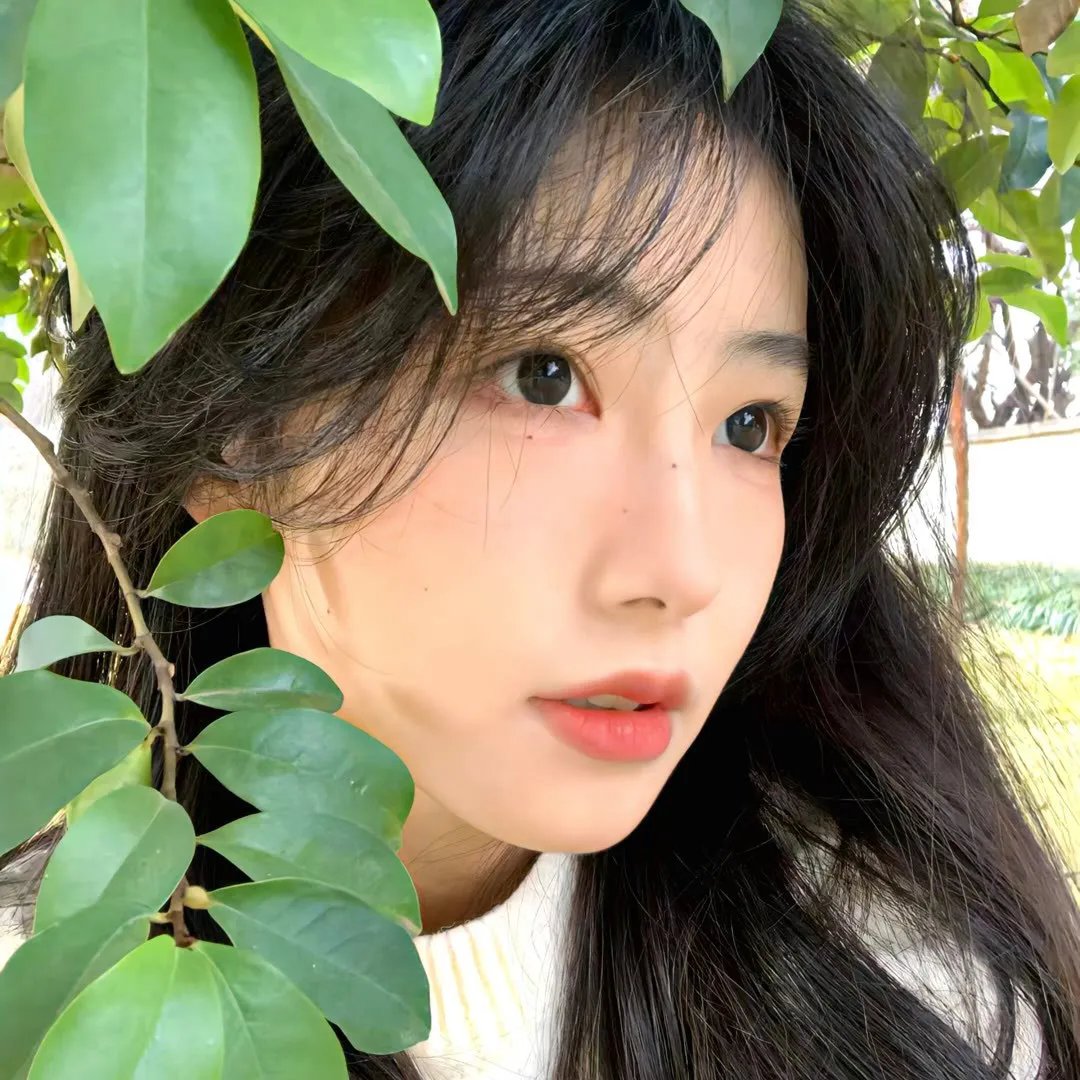 母与女1960 海报